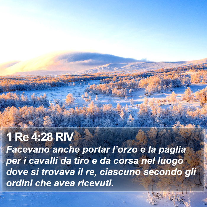 1 Re 4:28 RIV Bible Study