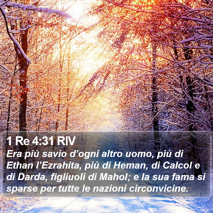 1 Re 4:31 RIV Bible Study