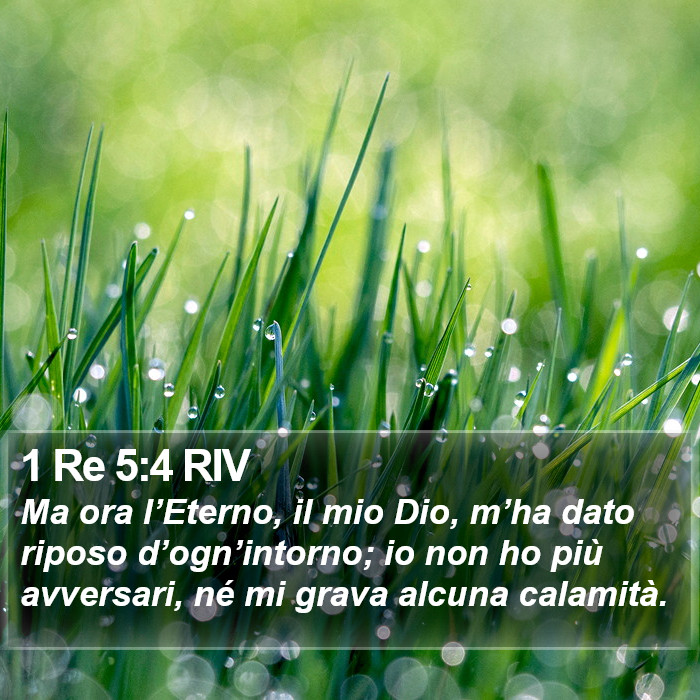 1 Re 5:4 RIV Bible Study