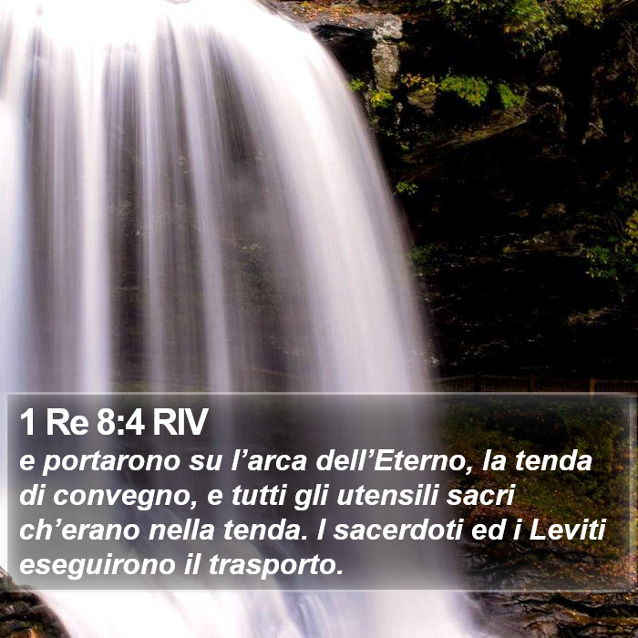 1 Re 8:4 RIV Bible Study