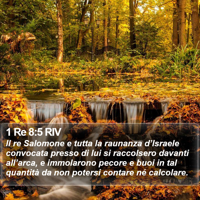 1 Re 8:5 RIV Bible Study