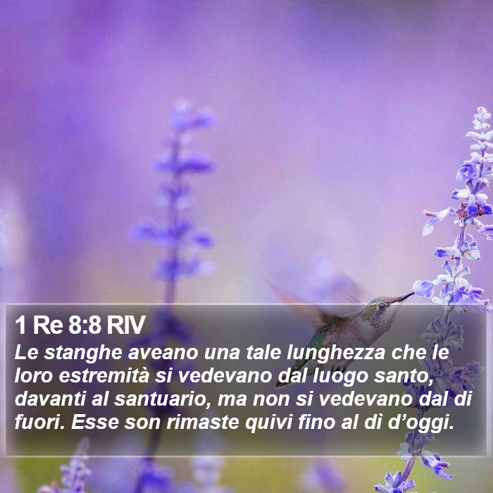 1 Re 8:8 RIV Bible Study