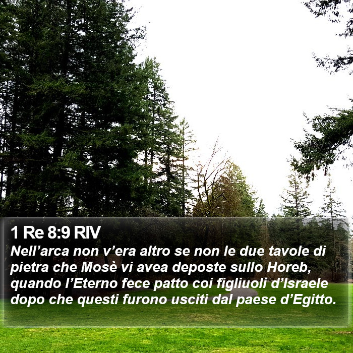 1 Re 8:9 RIV Bible Study