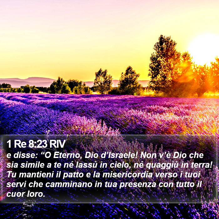 1 Re 8:23 RIV Bible Study