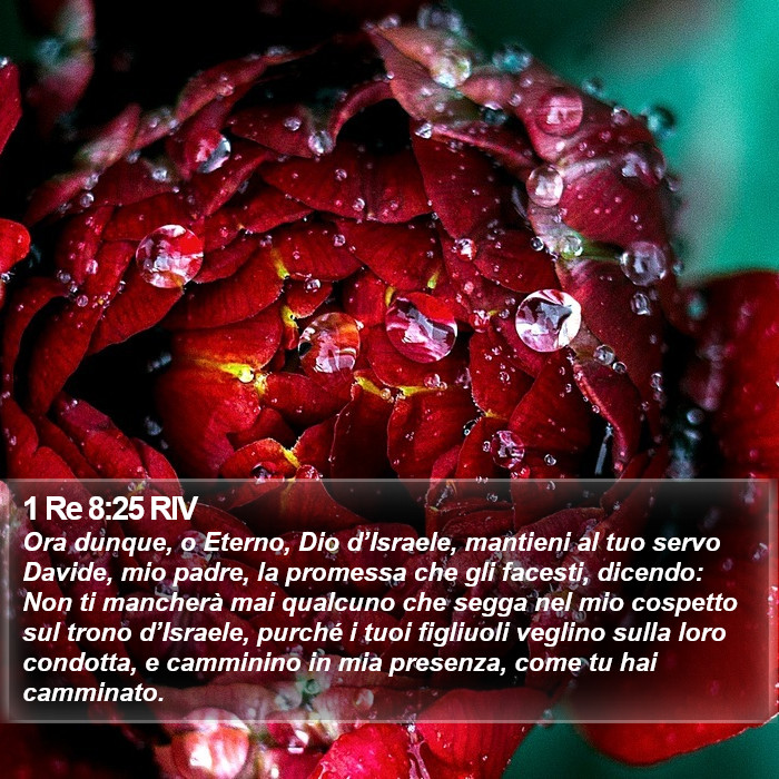 1 Re 8:25 RIV Bible Study