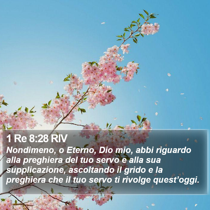1 Re 8:28 RIV Bible Study