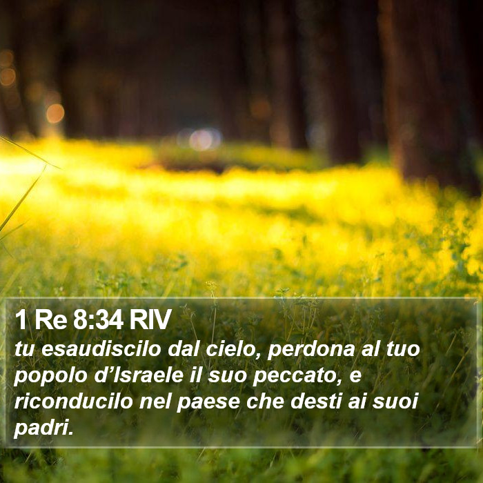1 Re 8:34 RIV Bible Study