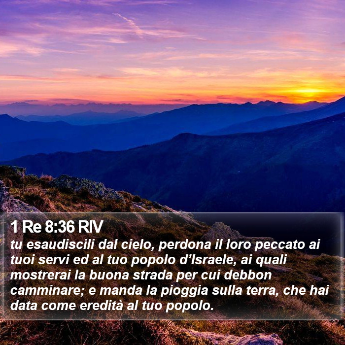 1 Re 8:36 RIV Bible Study