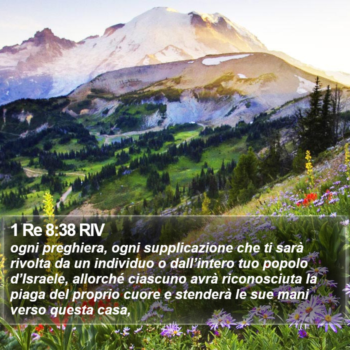 1 Re 8:38 RIV Bible Study