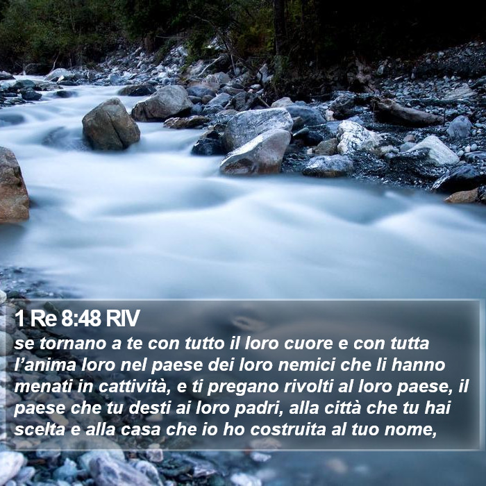 1 Re 8:48 RIV Bible Study