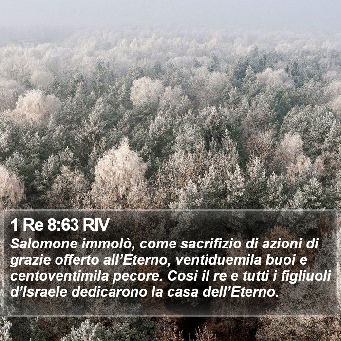 1 Re 8:63 RIV Bible Study