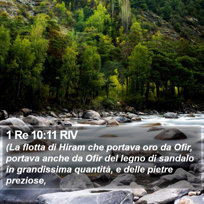 1 Re 10:11 RIV Bible Study