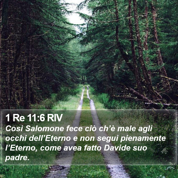 1 Re 11:6 RIV Bible Study