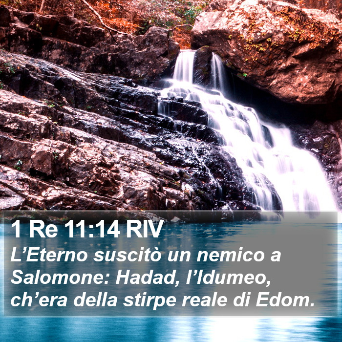 1 Re 11:14 RIV Bible Study