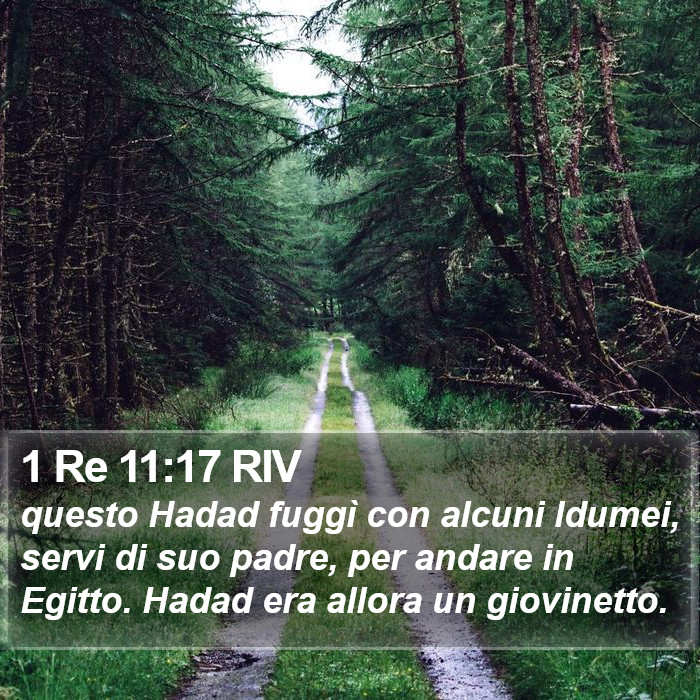 1 Re 11:17 RIV Bible Study