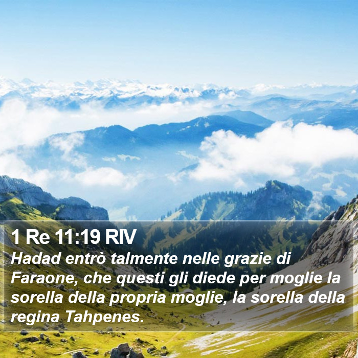 1 Re 11:19 RIV Bible Study