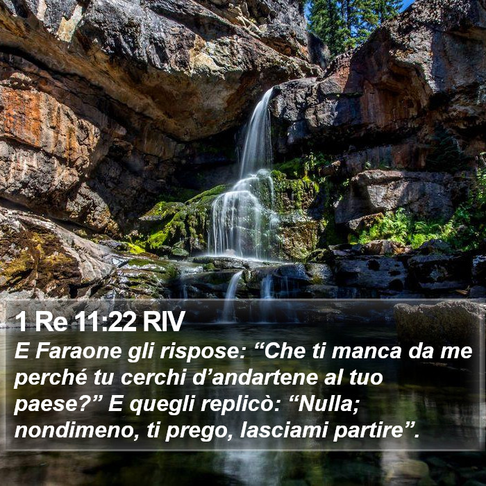 1 Re 11:22 RIV Bible Study