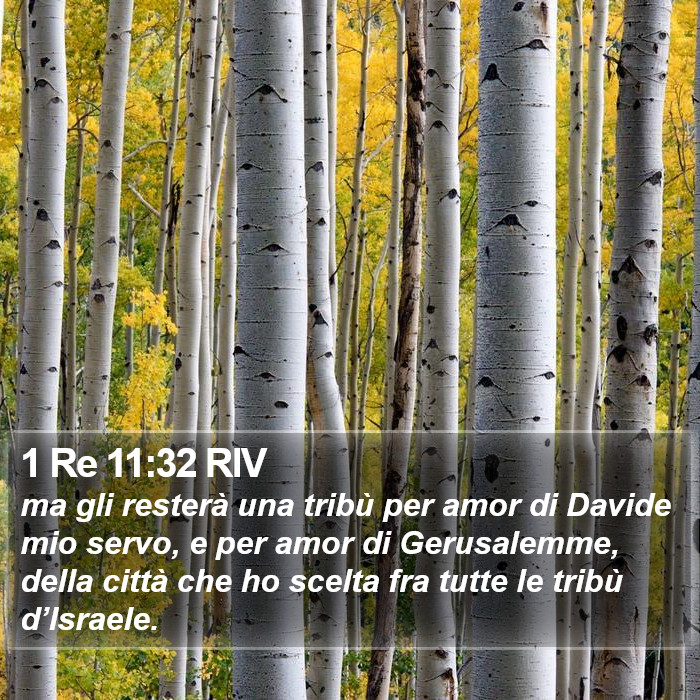 1 Re 11:32 RIV Bible Study