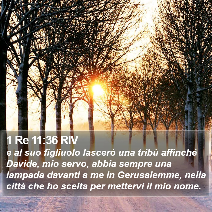 1 Re 11:36 RIV Bible Study