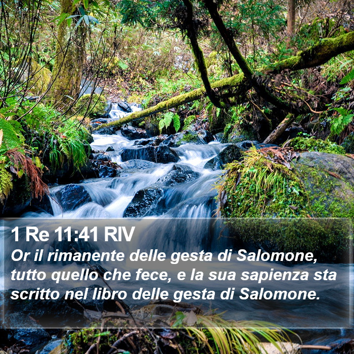 1 Re 11:41 RIV Bible Study