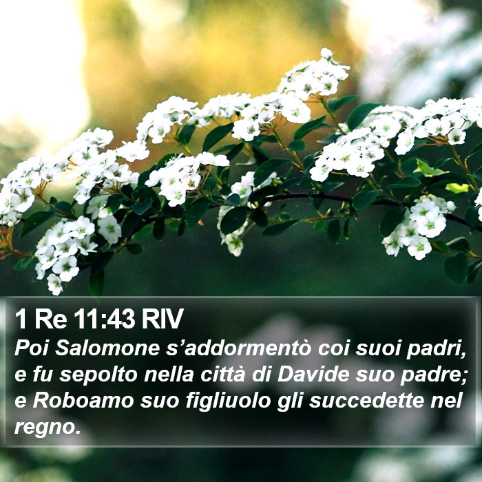 1 Re 11:43 RIV Bible Study