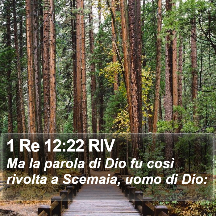1 Re 12:22 RIV Bible Study