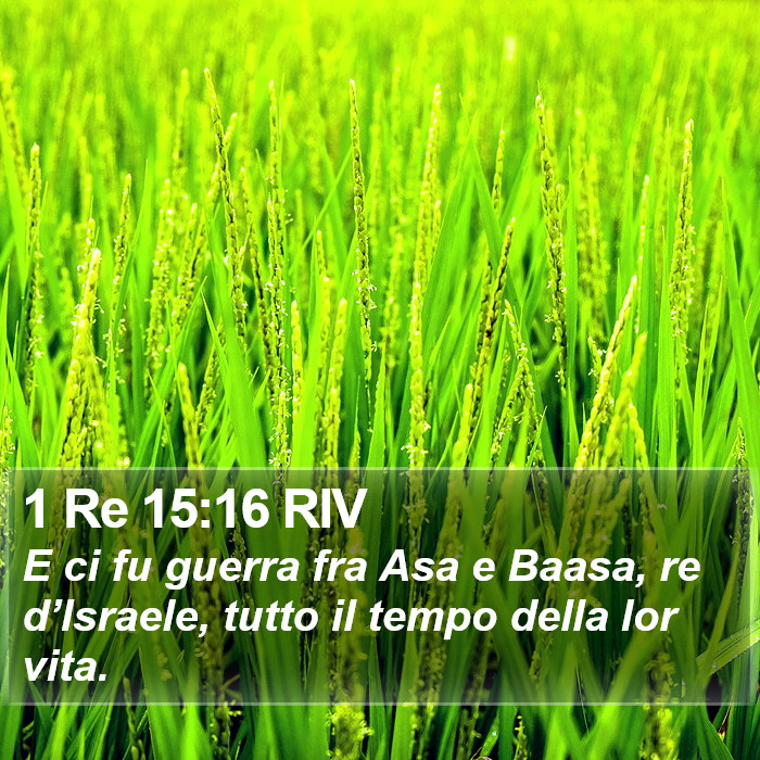 1 Re 15:16 RIV Bible Study