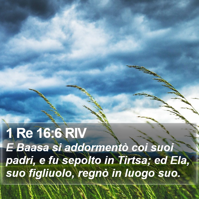 1 Re 16:6 RIV Bible Study