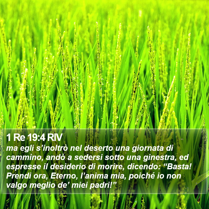 1 Re 19:4 RIV Bible Study