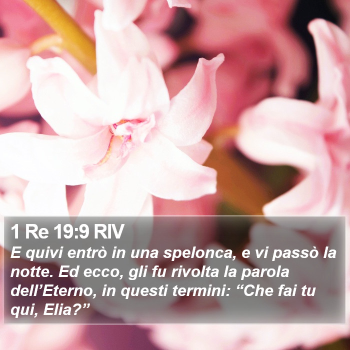 1 Re 19:9 RIV Bible Study
