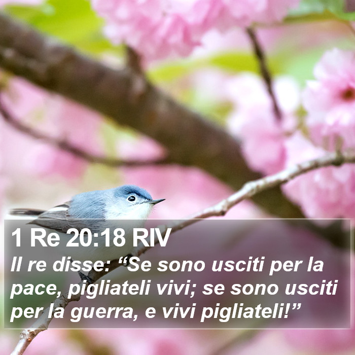 1 Re 20:18 RIV Bible Study