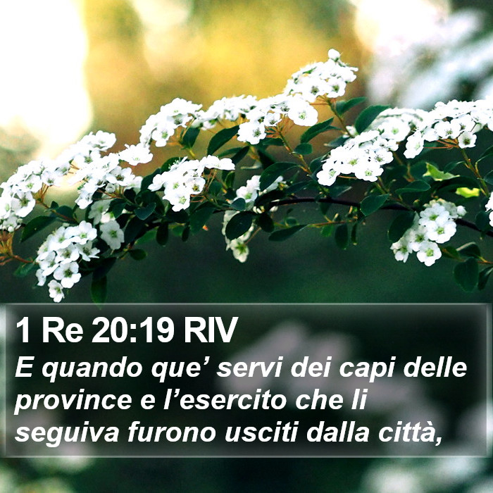 1 Re 20:19 RIV Bible Study