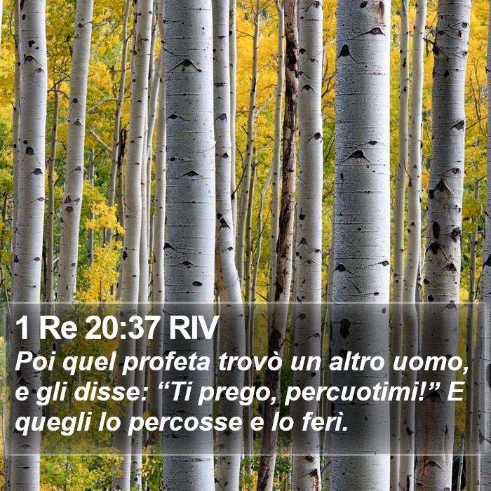 1 Re 20:37 RIV Bible Study