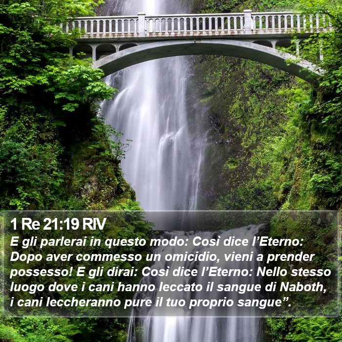 1 Re 21:19 RIV Bible Study