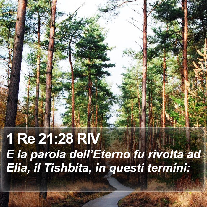 1 Re 21:28 RIV Bible Study