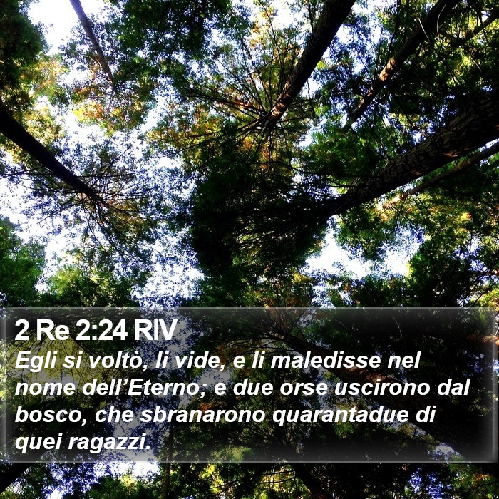 2 Re 2:24 RIV Bible Study