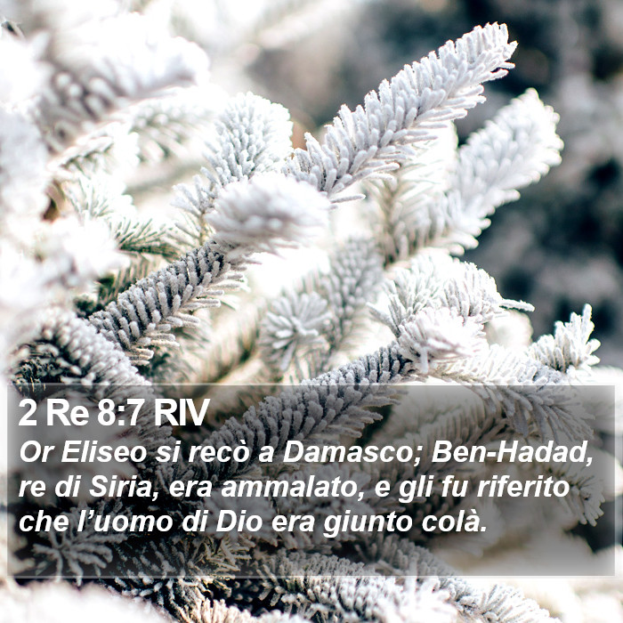 2 Re 8:7 RIV Bible Study