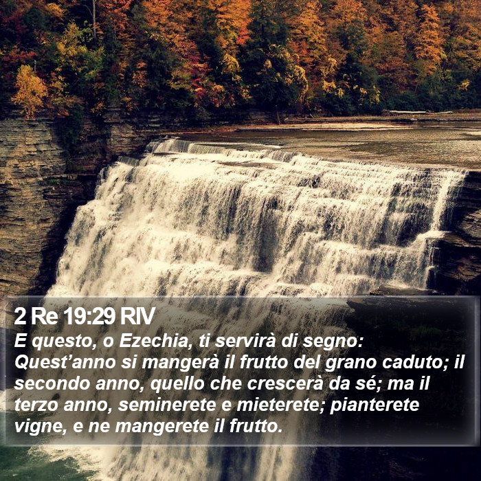 2 Re 19:29 RIV Bible Study