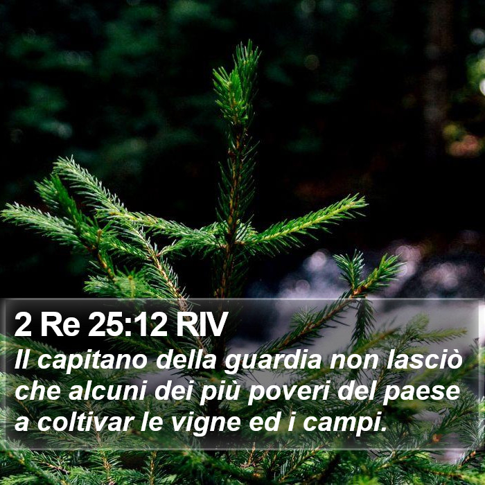 2 Re 25:12 RIV Bible Study