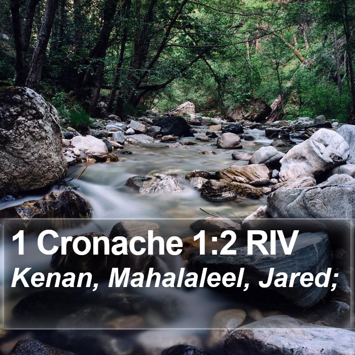 1 Cronache 1:2 RIV Bible Study