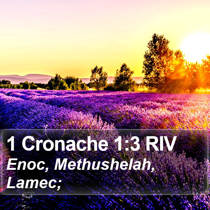 1 Cronache 1:3 RIV Bible Study