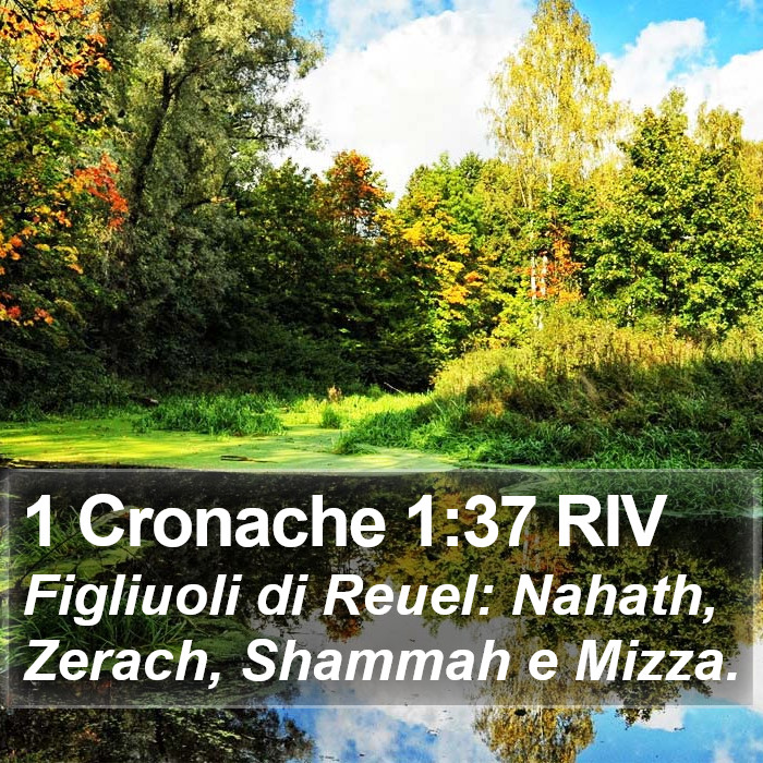 1 Cronache 1:37 RIV Bible Study