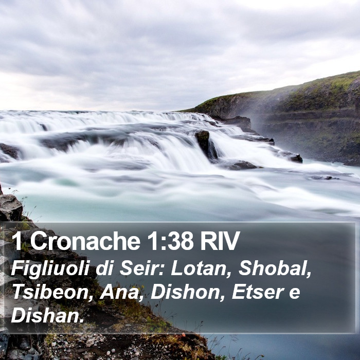 1 Cronache 1:38 RIV Bible Study