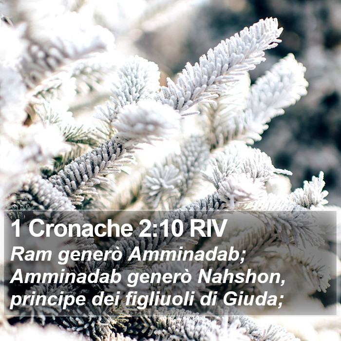 1 Cronache 2:10 RIV Bible Study