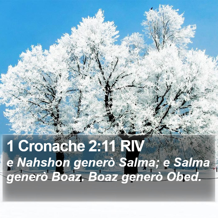 1 Cronache 2:11 RIV Bible Study