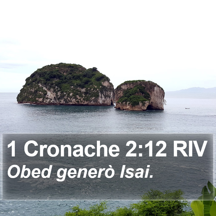 1 Cronache 2:12 RIV Bible Study