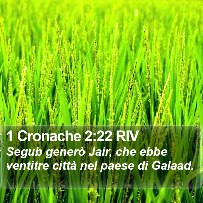 1 Cronache 2:22 RIV Bible Study