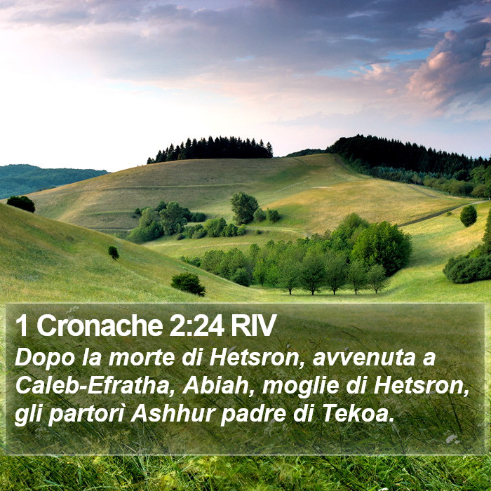 1 Cronache 2:24 RIV Bible Study