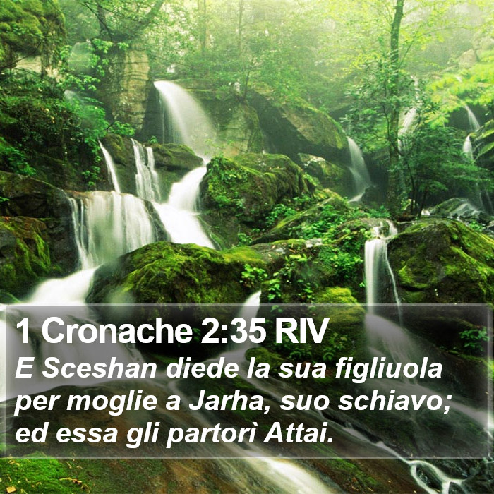 1 Cronache 2:35 RIV Bible Study