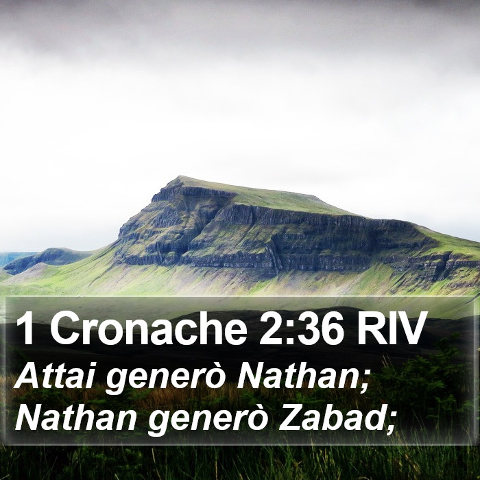 1 Cronache 2:36 RIV Bible Study